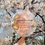 EDEN(DaLong) - @eden_choi_ - Instagram