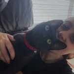 Eden - @eden.clark180306 - Instagram