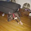 Eden Col'on - @eden.colon47 - TikTok