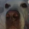 edenconner790 - @edenconner790 - TikTok