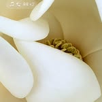 @edencranephotography - Instagram