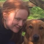 Kev Davidson - @edencroftkennels - Instagram