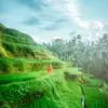 edencuevas586 - @edencuevas586 - TikTok