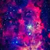 eden.dillon - @eden.dillon - TikTok