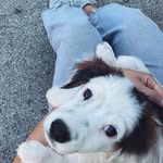 EDEN - @eden.dodd_d - Instagram