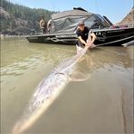 Donovan Eden - Facebook