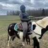 that horse girl - @edendoyle93 - TikTok