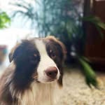 Eden - @eden.duffy_r058 - Instagram
