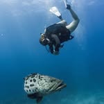 Eden Duncan - @e_underthe_sea - Instagram