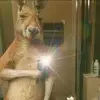 eden duran - @yuridiagutierrez287 - TikTok