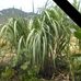 Edwin Edwards - Facebook