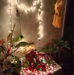 Eden Dagpin Escobar - Facebook