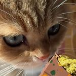 Anna Eden Jean Étienne Arnault - @a.nna0e.den - Instagram