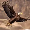 eden - @edenafleck - TikTok