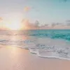 eden flood823 - @beachy_girl6 - TikTok