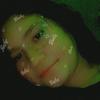 Eden Floyd - @i_am_totally_okay - TikTok