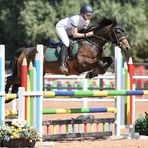Swellendam Sport Horses - Eden Foley - Facebook