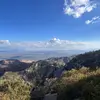 edenfox8 - @eden66816 - TikTok