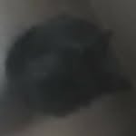 Eden Beebo Floof 8-Ball Fuller - @r.i.p_edenfuller - Instagram