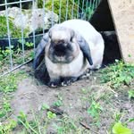 Eden - @edenfuller__721ay - Instagram
