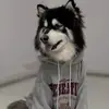 Eden Gibson - @eden.gibson5 - TikTok