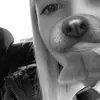 eden - @..edenhall - TikTok