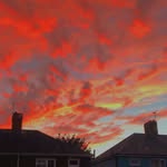 eden 🧚 - @edenhorne_ - Instagram