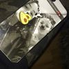 Eden horne - @eden_h07 - TikTok