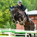 Sara Edenhorn - @edenhorn_equestrian - Instagram