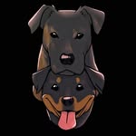 Eden & Hunter 🐶 - @eden_hunter_causing_mayhem - Instagram