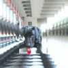 Eden Lynn Westover - @unicorns1900 - TikTok