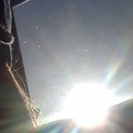 Eden_Mason - @eden.mason1 - Instagram