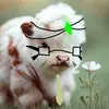 Eden ~◇~ / Moss {♤} / Moodrop - @zx_eden.th3.cow_xz - TikTok