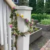 eden - @edenmurphy06 - TikTok