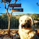 Eden&Paul_Sign's - @eden_signs - Instagram