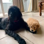Eden & Porter - @eden_and_porter - Instagram