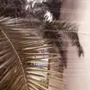 ᔕᑌᑎᖇIᔕE ☀ - @eden_price08 - TikTok