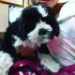 Eden Ramirez - @edeemarin2020 - Instagram