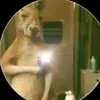 Edén Ramirez - @ele.ram1 - TikTok