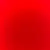 Eden Weinstein - @edenweinstein - TikTok