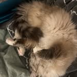 Eden Stevens - @fungal_wastes - Instagram