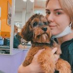 Eden Stevenson - @glowupgrooming - Instagram