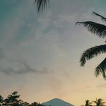 Eden - @_eden.stokesbm.5 - Instagram