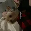 Eden Stout - @eden.stout - TikTok