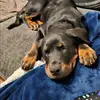 Stu - @stuarteden0 - TikTok