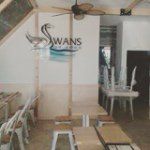 Swans On Eden - @swans_on_eden - Instagram