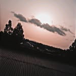 Eden Teklu - @teklu775 - Instagram