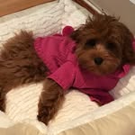 Eden Todd - @eden_mae_todd - Instagram