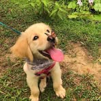Eden Walsh - Facebook