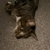 eden - @.eden_ward_ - TikTok